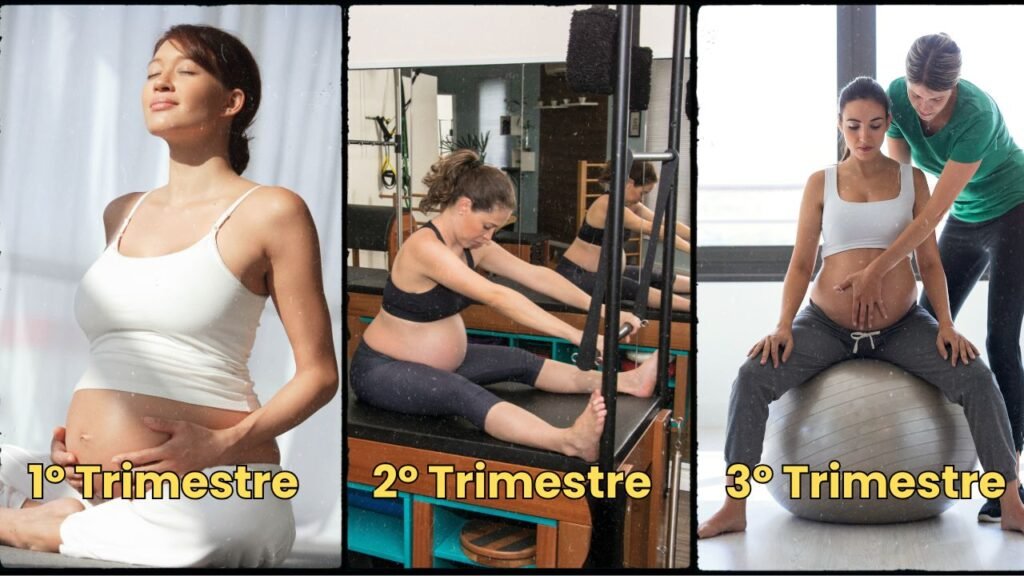 Infográfico mostrando a evolução dos exercícios de pilates por trimestre da gestação